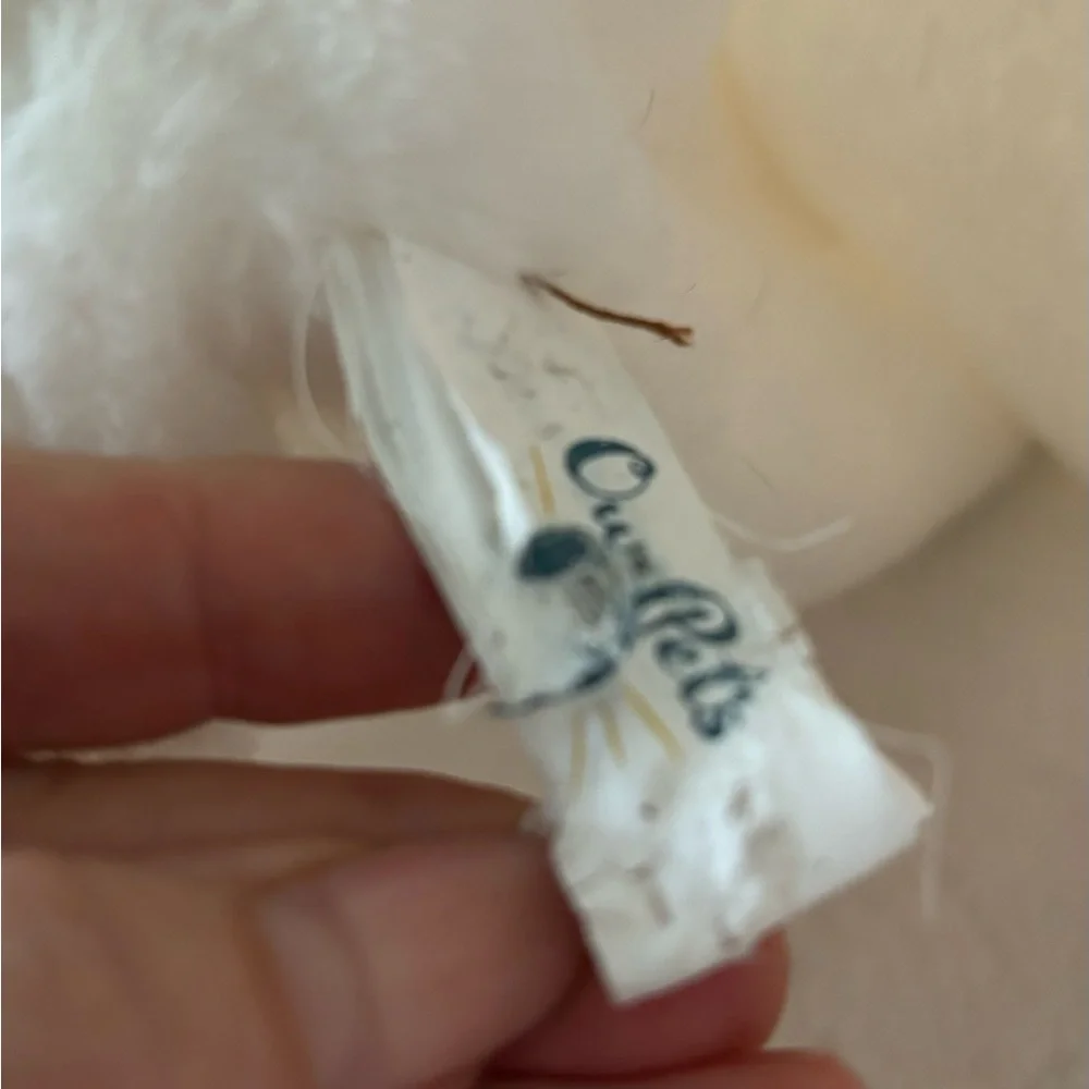 Kitten bag toy for fun